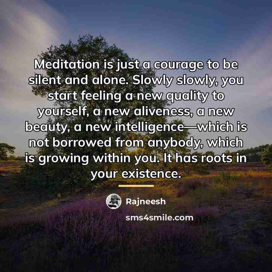“Meditation is just a courage to be silent and alone.…” quote by Rajneesh