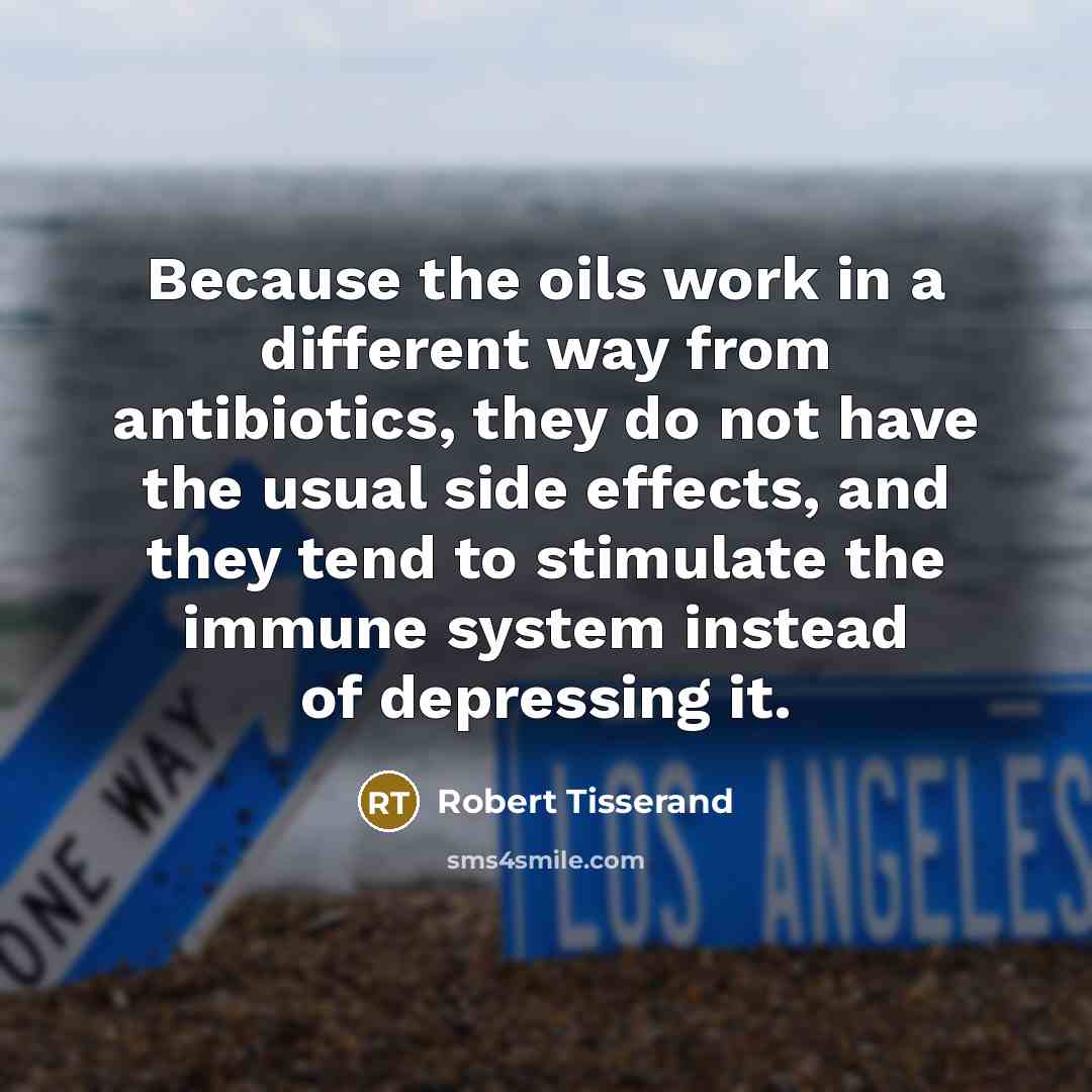 “Because the oils work in a different way from antibiotics,…” quote by Robert Tisserand