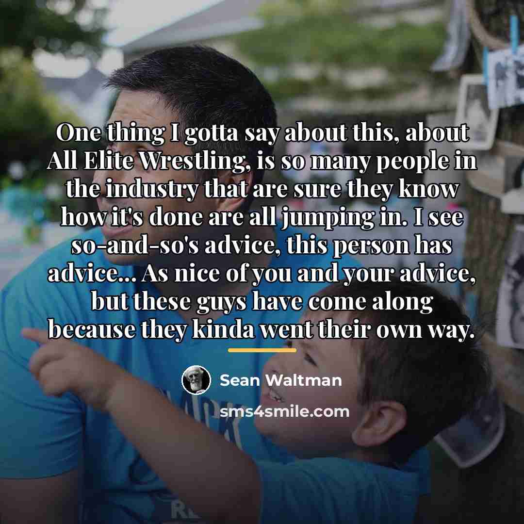 “One thing I gotta say about this, about All Elite…” quote by Sean Waltman
