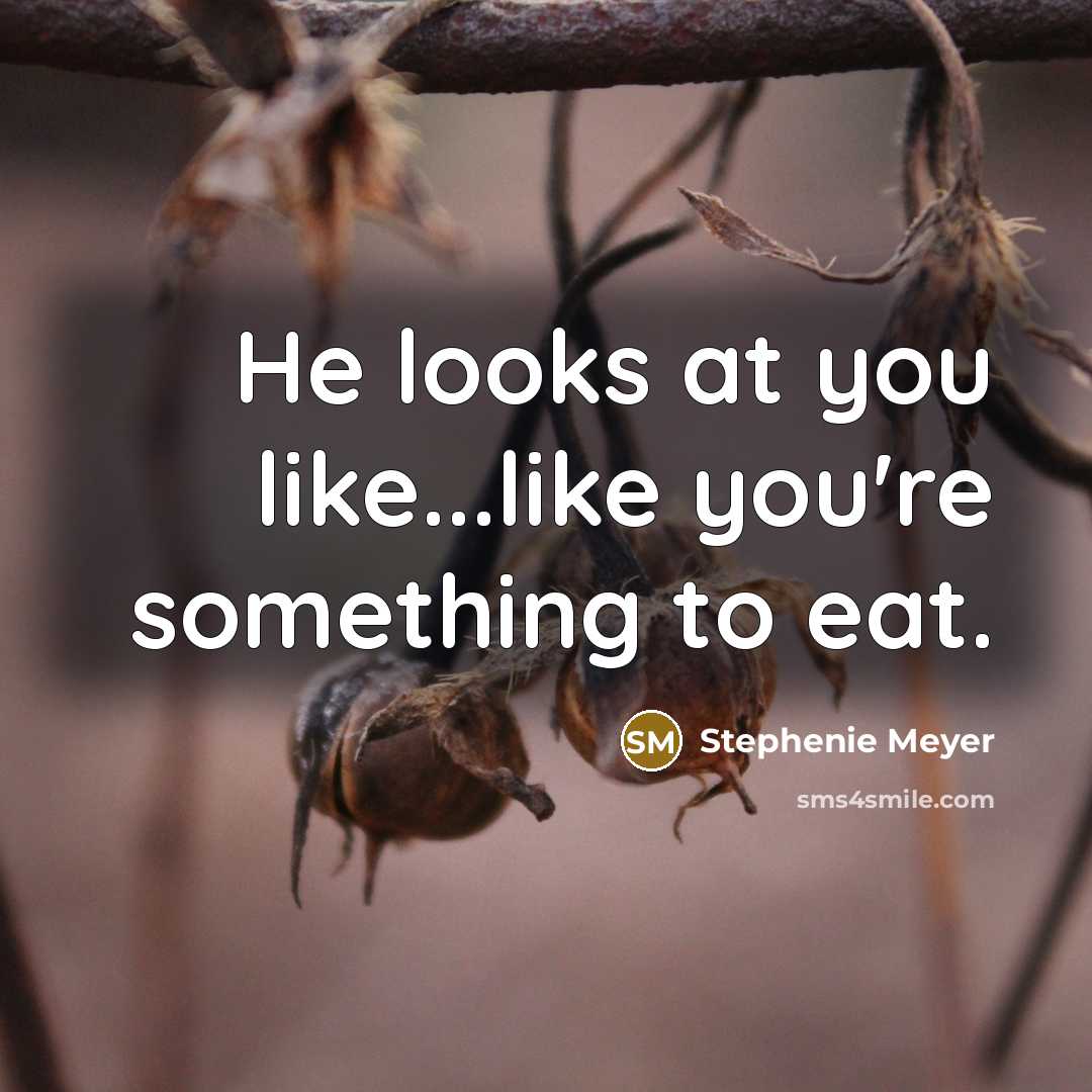 “He looks at you like...like you're something to eat.…” quote by Stephenie Meyer