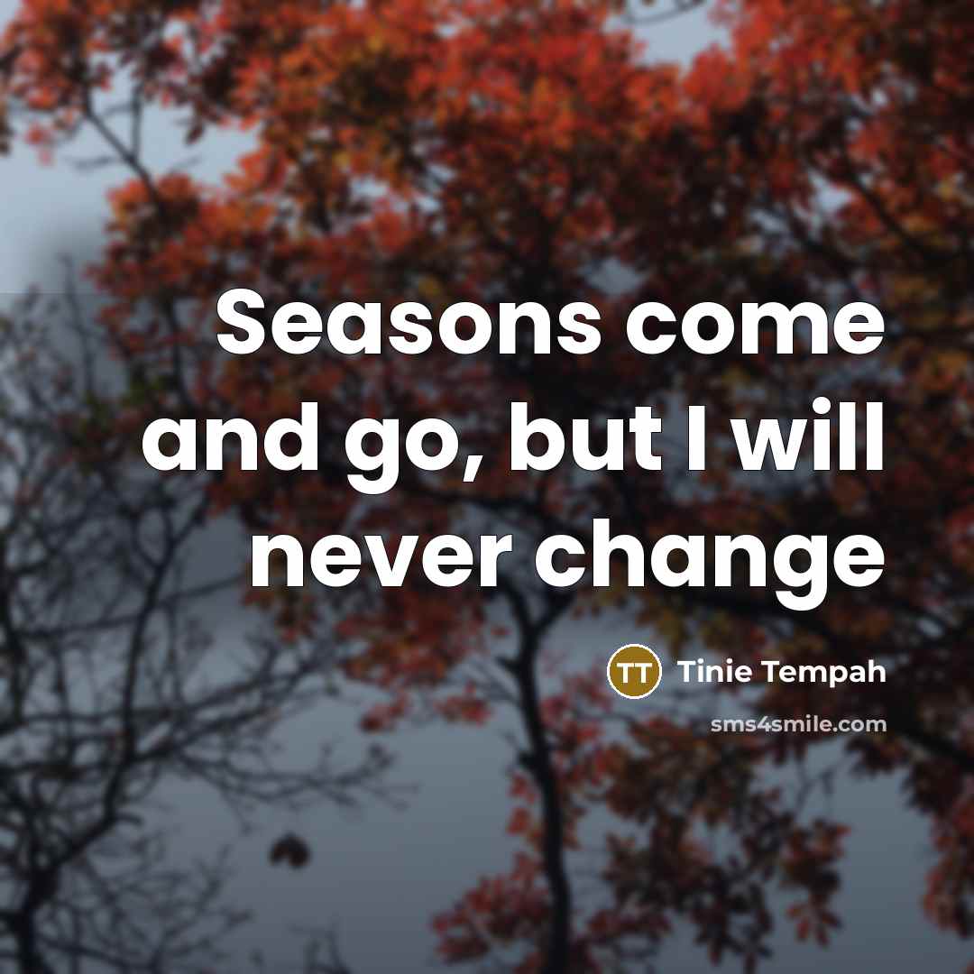 “Seasons come and go, but I will never change…” quote by Tinie Tempah