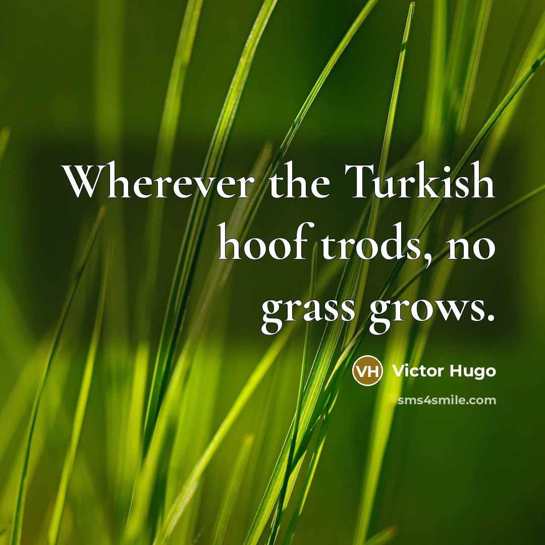 “Wherever the Turkish hoof trods, no grass grows.…” quote by Victor Hugo