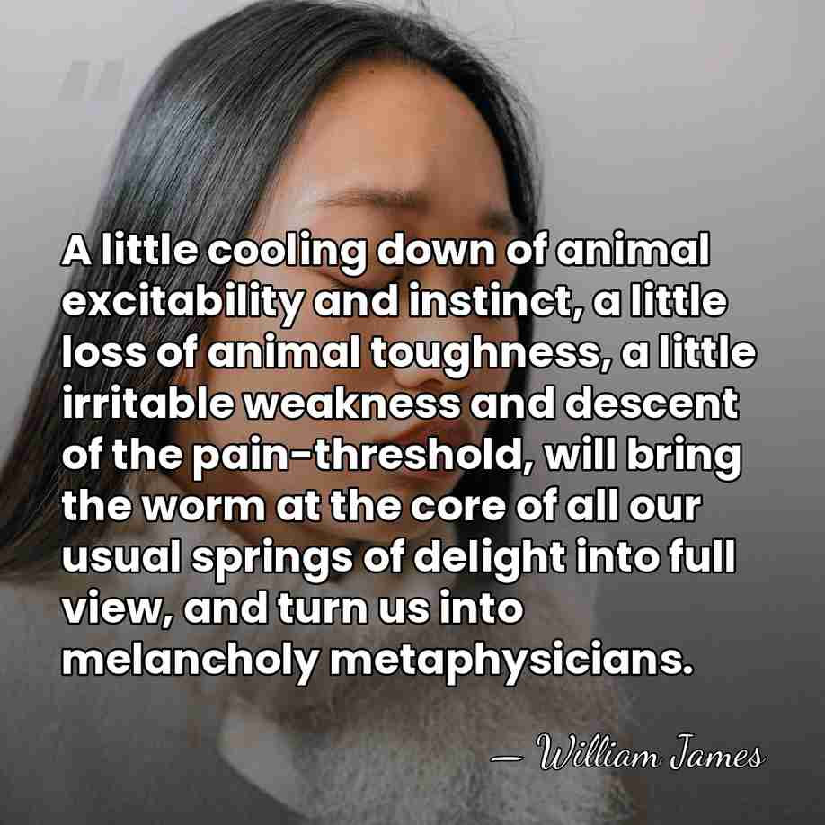 A little cooling down of animal excitability and instinct, a little loss&hellip; - William James