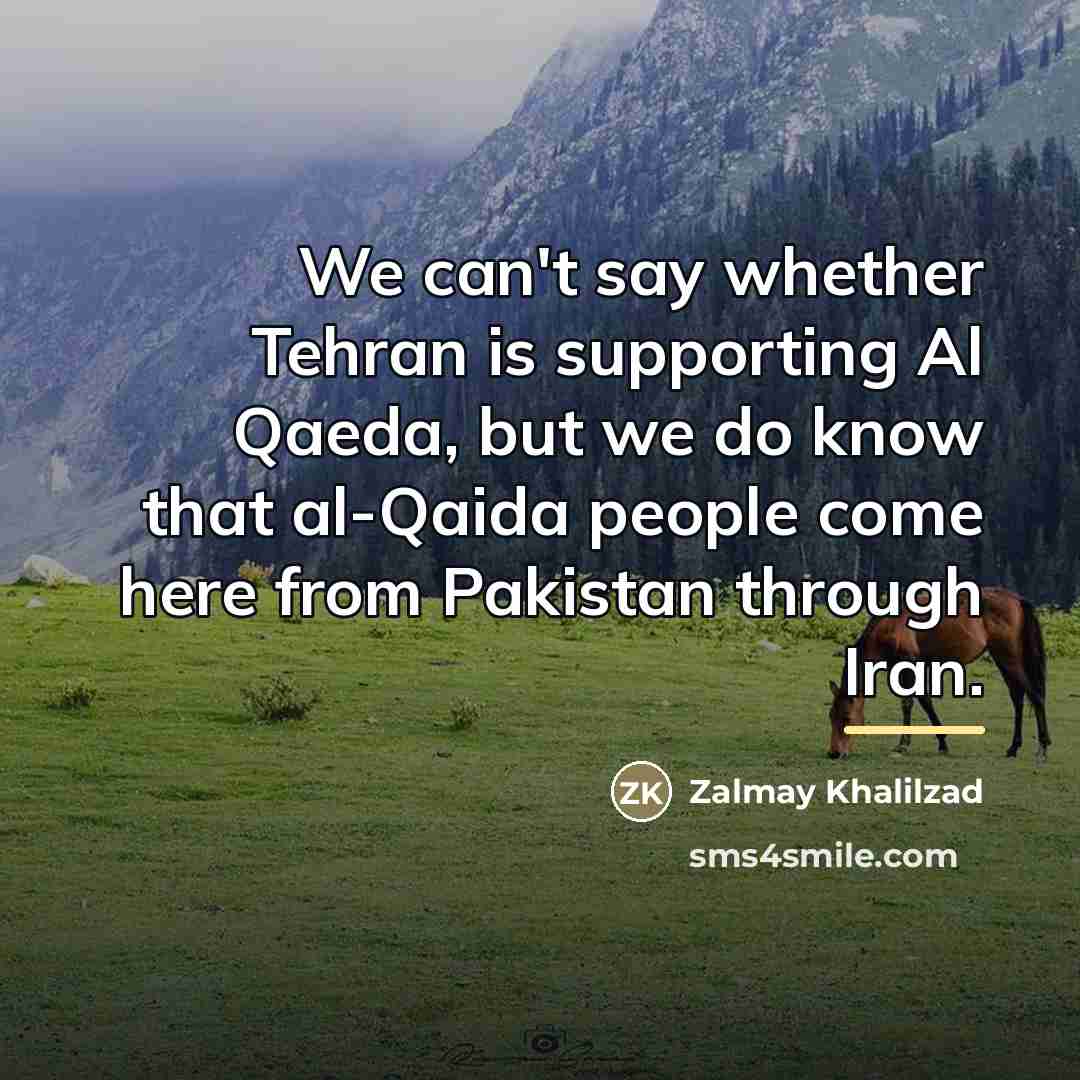 “We can't say whether Tehran is supporting Al Qaeda, but…” quote by Zalmay Khalilzad