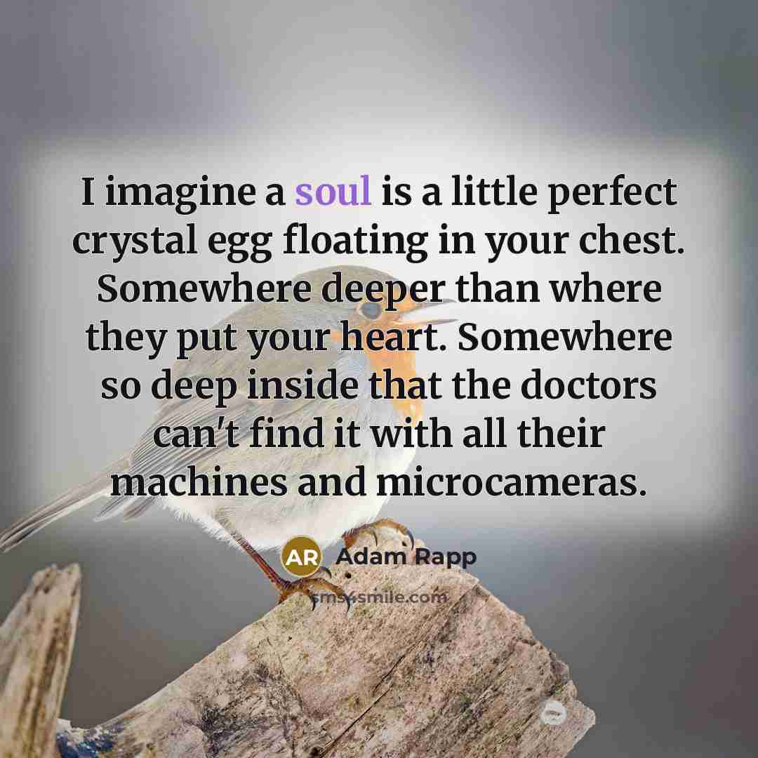 “I imagine a soul is a little perfect crystal egg…” quote by Adam Rapp