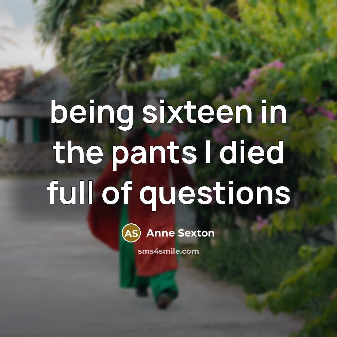 “being sixteen in the pants I died full of questions…” quote by Anne Sexton
