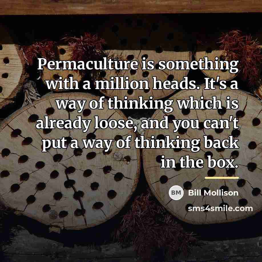“Permaculture is something with a million heads. It's a way…” quote by Bill Mollison