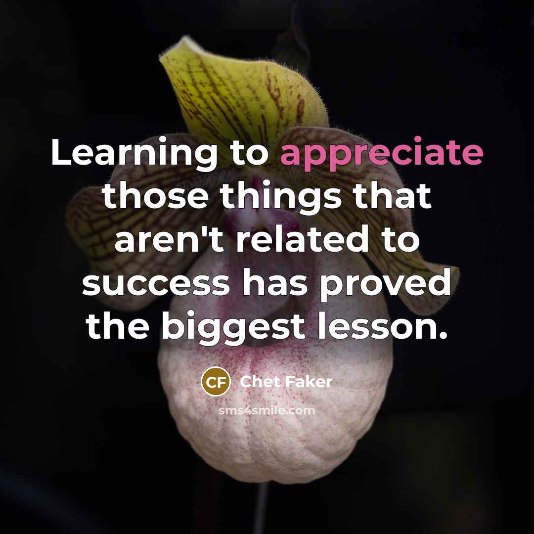 “Learning to appreciate those things that aren't related to success…” quote by Chet Faker
