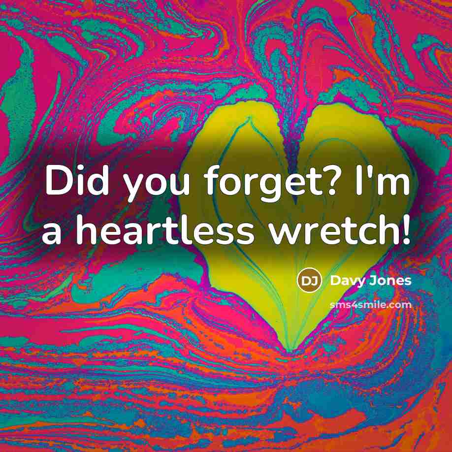 “Did you forget? I'm a heartless wretch!…” quote by Davy Jones