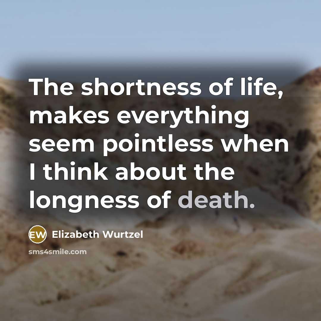 “The shortness of life, makes everything seem pointless when I…” quote by Elizabeth Wurtzel
