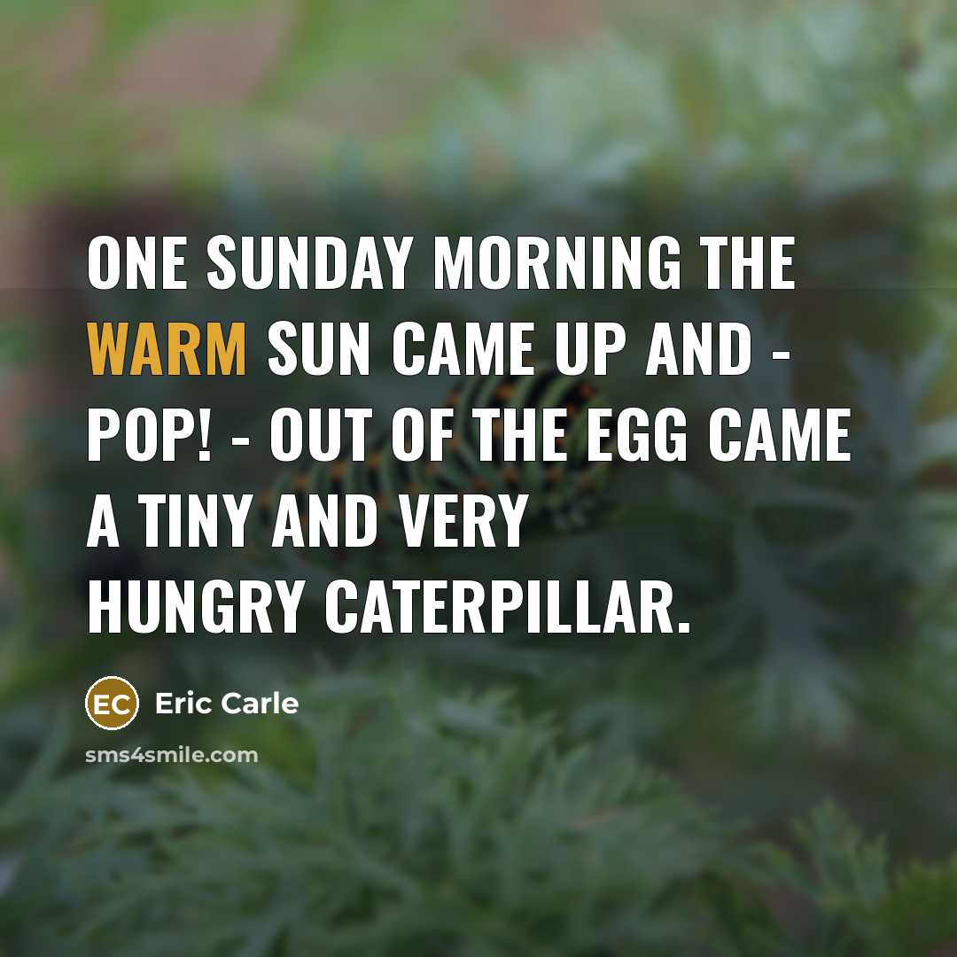 “One Sunday morning the warm sun came up and -…” quote by Eric Carle