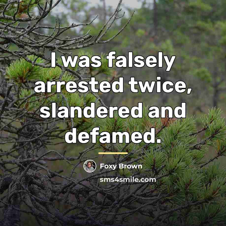 “I was falsely arrested twice, slandered and defamed.…” quote by Foxy Brown