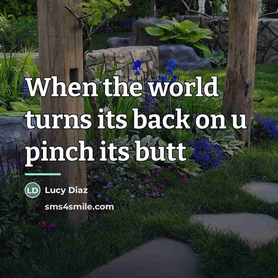 “When the world turns its back on u pinch its…” quote by Lucy Diaz
