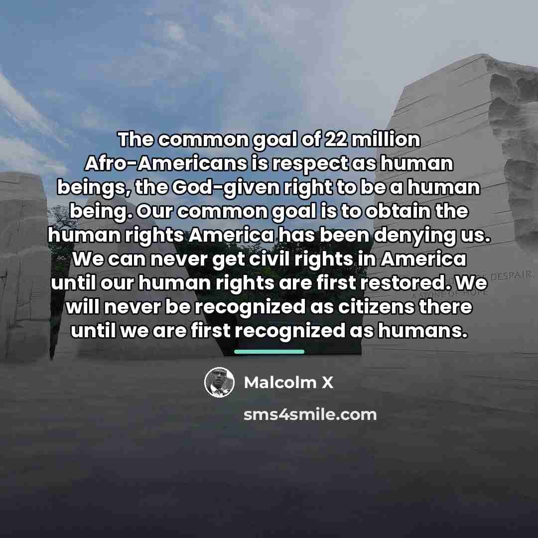“The common goal of 22 million Afro-Americans is respect as…” quote by Malcolm X