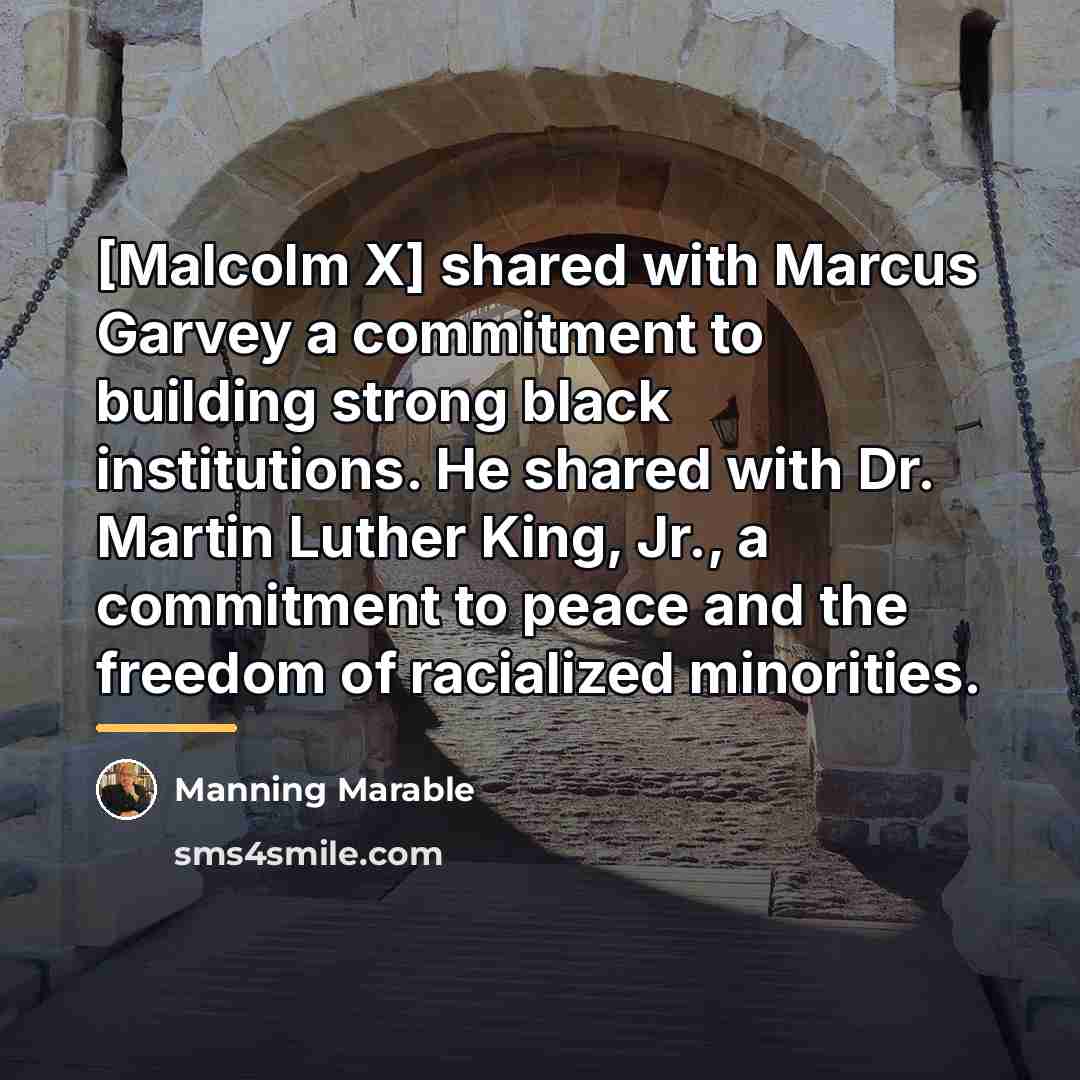 “[Malcolm X] shared with Marcus Garvey a commitment to building…” quote by Manning Marable