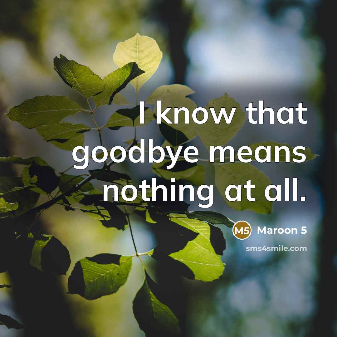 “I know that goodbye means nothing at all.” quote by Maroon 5