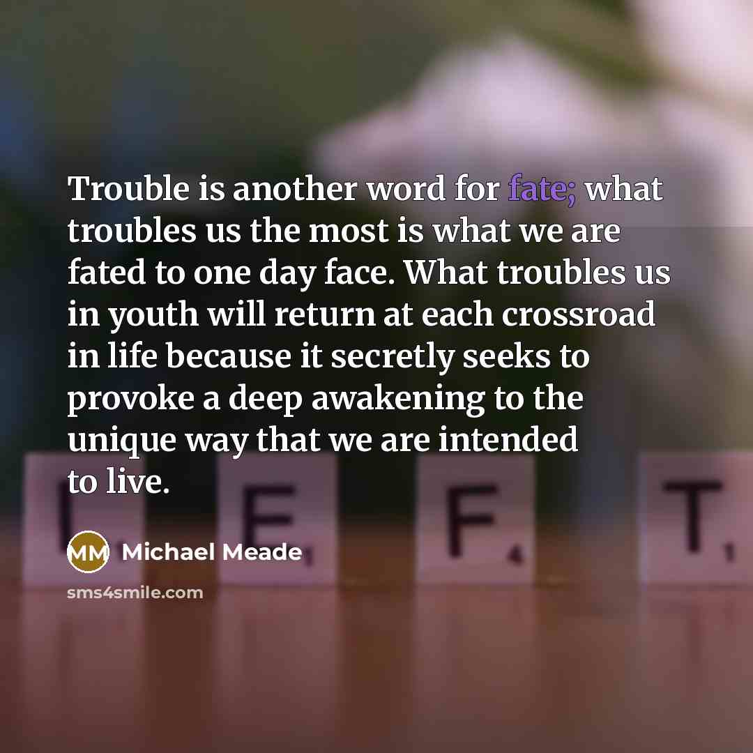 “Trouble is another word for fate; what troubles us the…” quote by Michael Meade