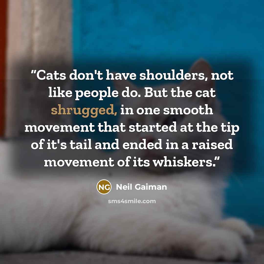 “Cats don't have shoulders, not like people do. But the cat shrugged, in one smooth movement that started at the tip of it's tail and ended in a raised movement of its whiskers.” quote by Neil Gaiman