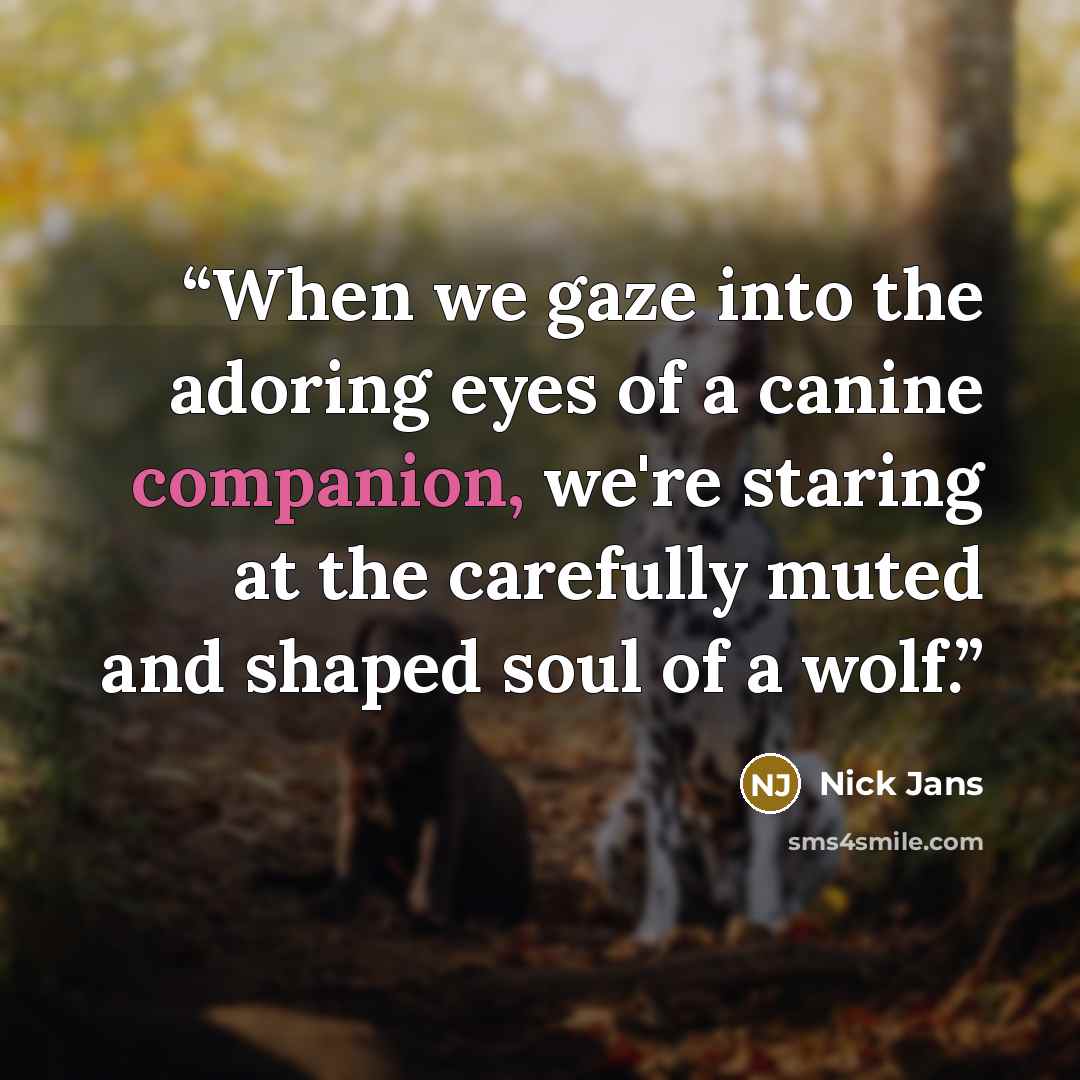 “When we gaze into the adoring eyes of a canine companion, we're staring at the carefully muted and shaped soul of a wolf.” quote by Nick Jans