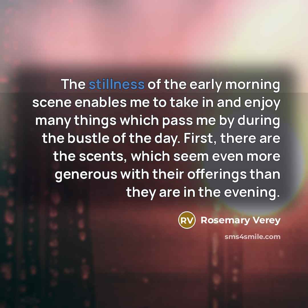 “The stillness of the early morning scene enables me to…” quote by Rosemary Verey