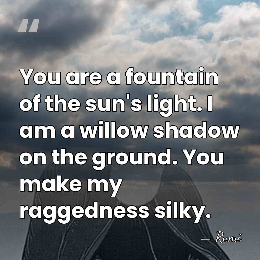 You are a fountain of the sun's light. I am a willow&hellip; - Rumi