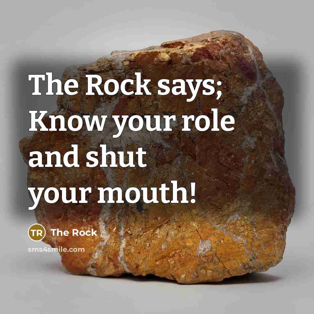 “The Rock says; Know your role and shut your mouth!…” quote by The Rock