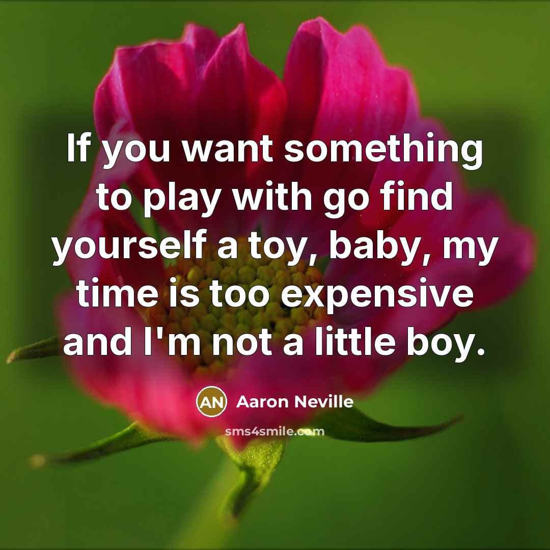 “If you want something to play with go find yourself…” quote by Aaron Neville