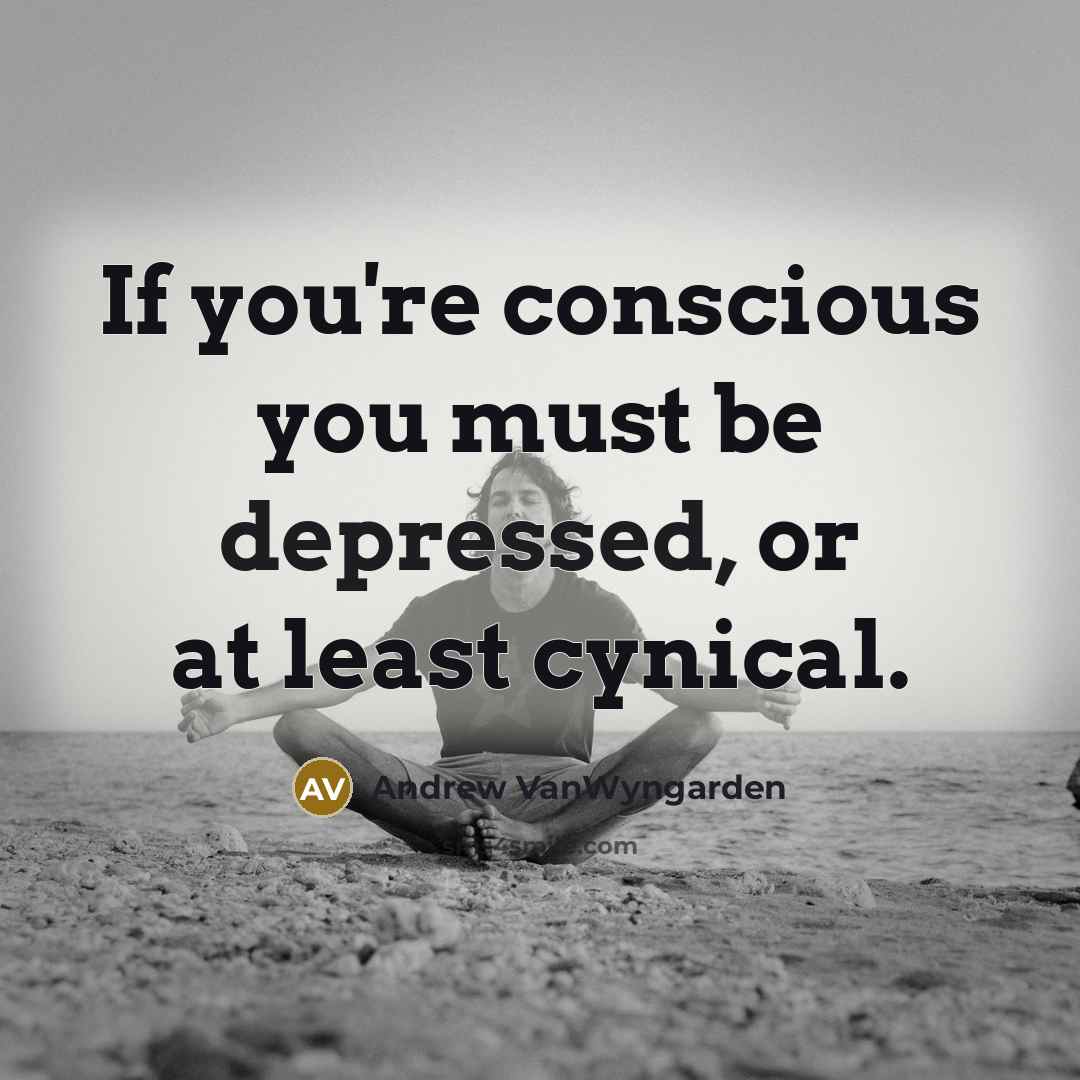 “If you're conscious you must be depressed, or at least…” quote by Andrew VanWyngarden