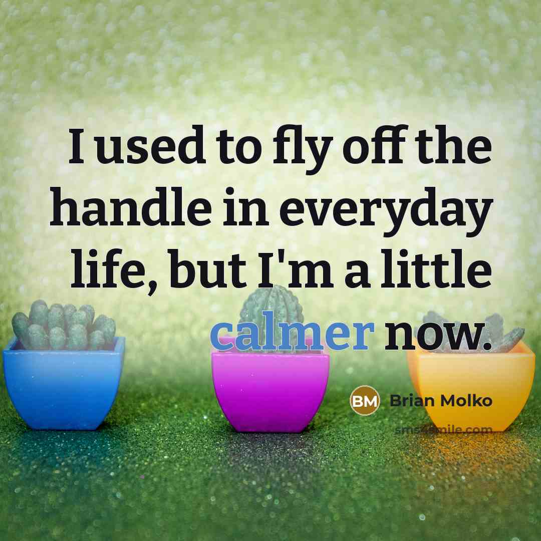 “I used to fly off the handle in everyday life, but I'm a little calmer now.” quote by Brian Molko