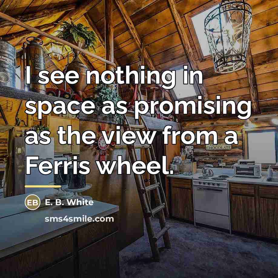 “I see nothing in space as promising as the view…” quote by E. B. White