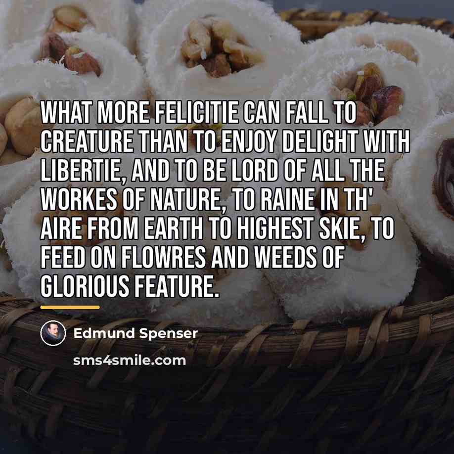 “What more felicitie can fall to creature Than to enjoy…” quote by Edmund Spenser