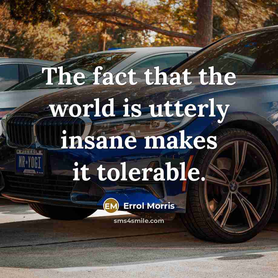 “The fact that the world is utterly insane makes it…” quote by Errol Morris