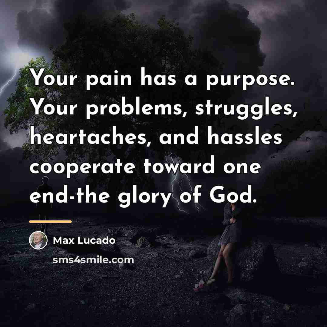 “Your pain has a purpose. Your problems, struggles, heartaches, and…” quote by Max Lucado