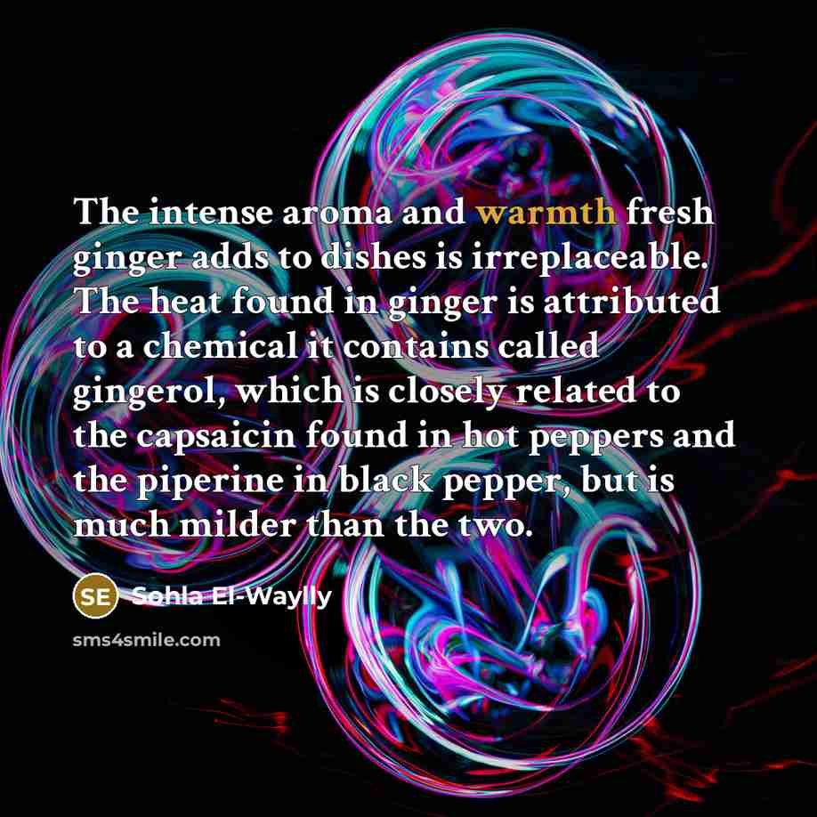 “The intense aroma and warmth fresh ginger adds to dishes is irreplaceable. The heat found in ginger is attributed to a chemical it contains called gingerol, which is closely related to the capsaicin found in hot peppers and the piperine in black pepper, but is much milder than the two.” quote by Sohla El-Waylly