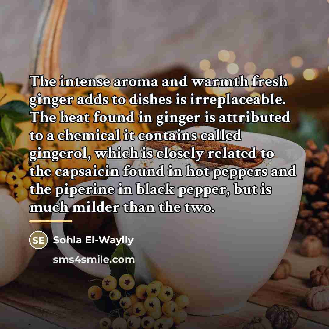 “The intense aroma and warmth fresh ginger adds to dishes…” quote by Sohla El-Waylly