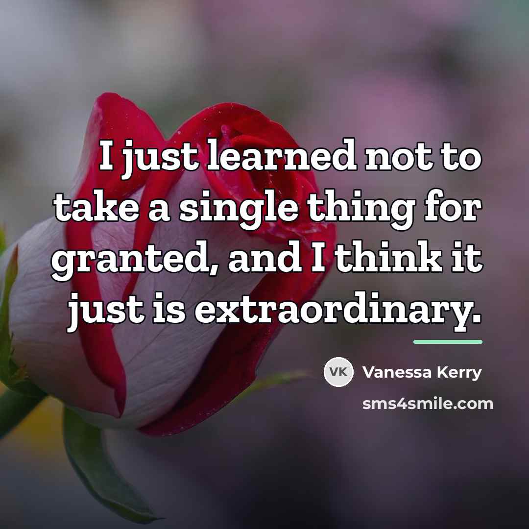 “I just learned not to take a single thing for…” quote by Vanessa Kerry