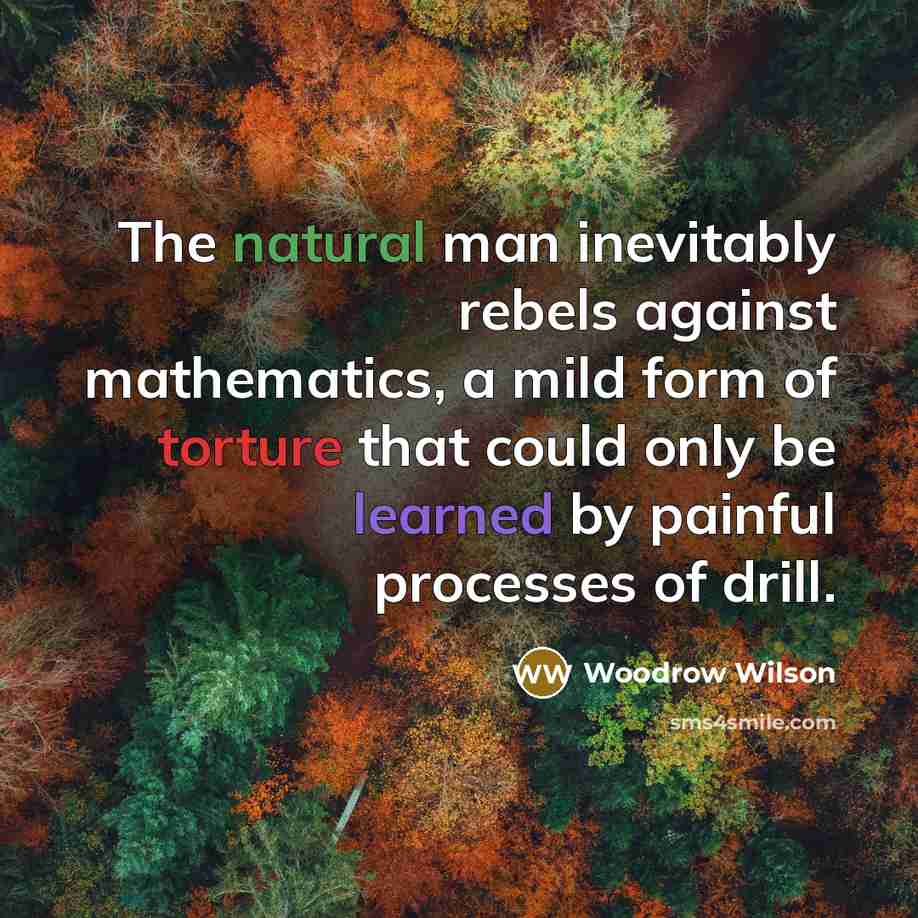 “The natural man inevitably rebels against mathematics, a mild form…” quote by Woodrow Wilson