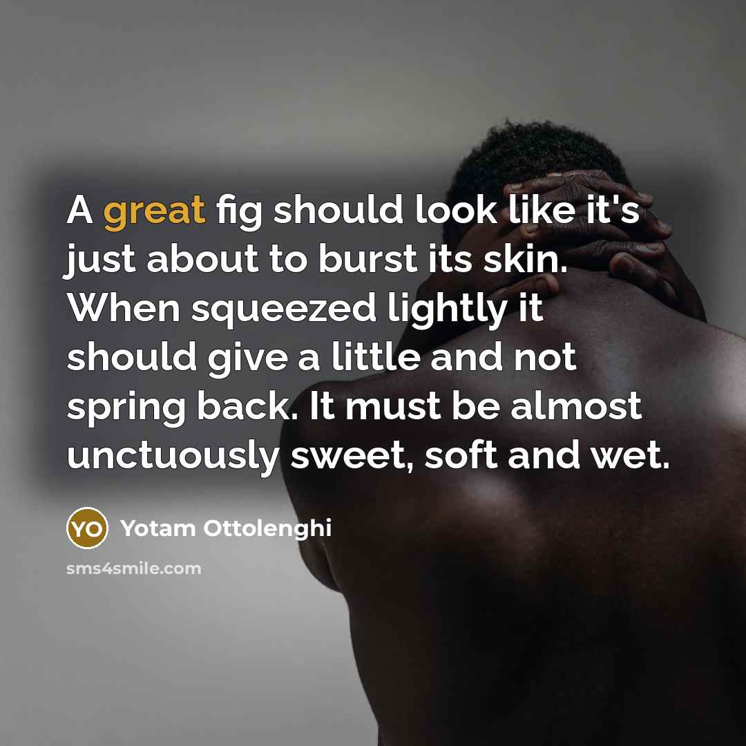 “A great fig should look like it's just about to…” quote by Yotam Ottolenghi