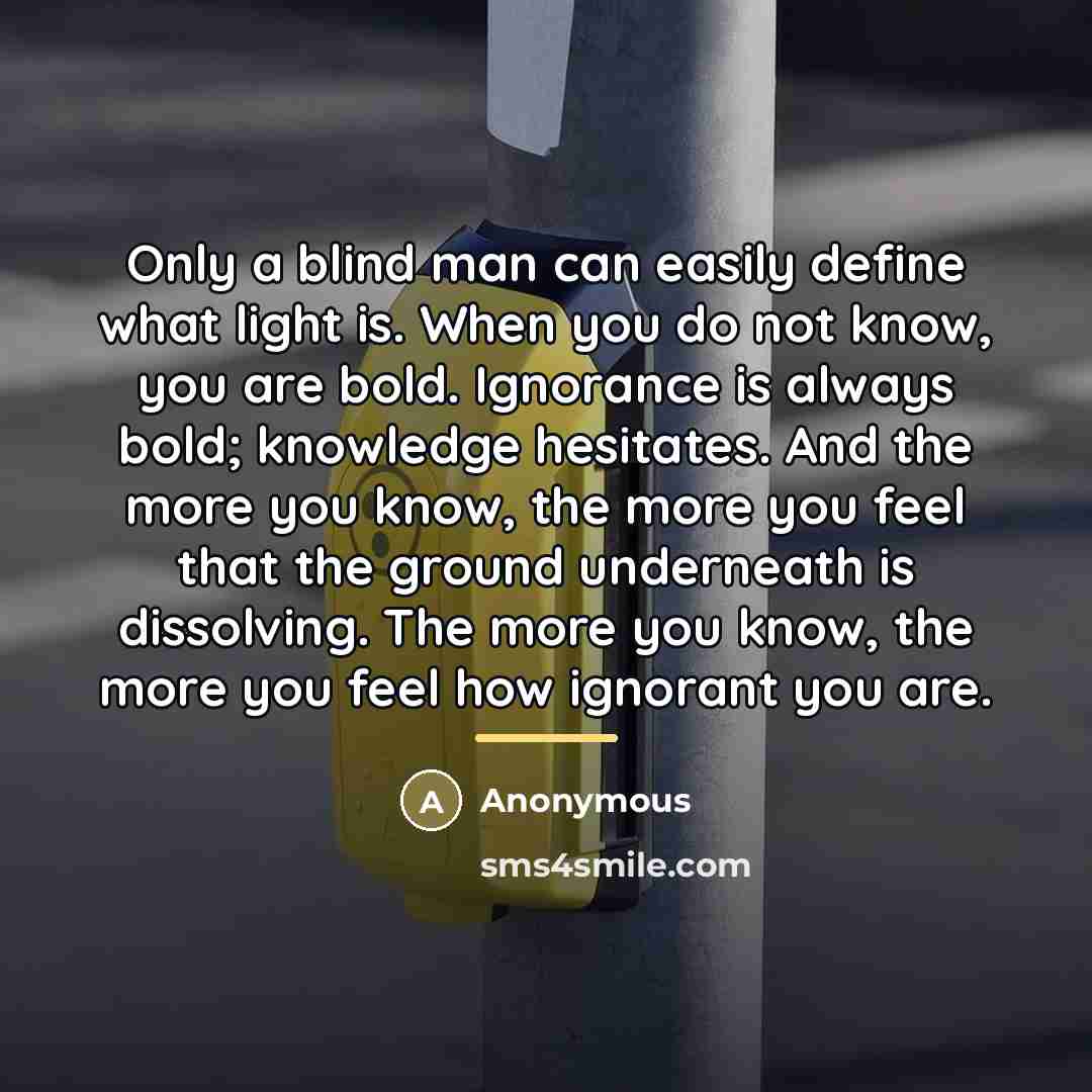“Only a blind man can easily define what light is.…” quote by Anonymous