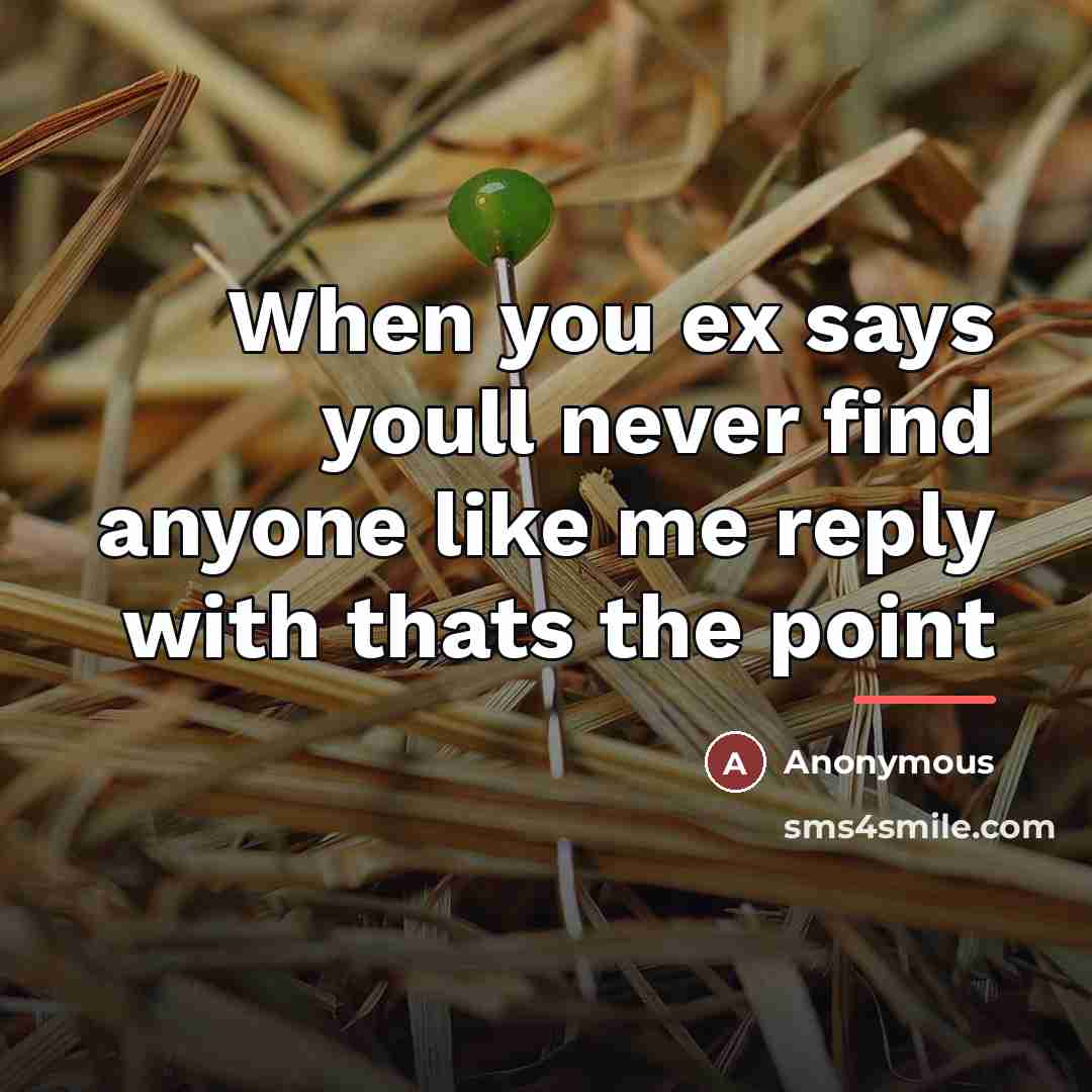 “When you ex says youll never find anyone like me…” quote by Anonymous