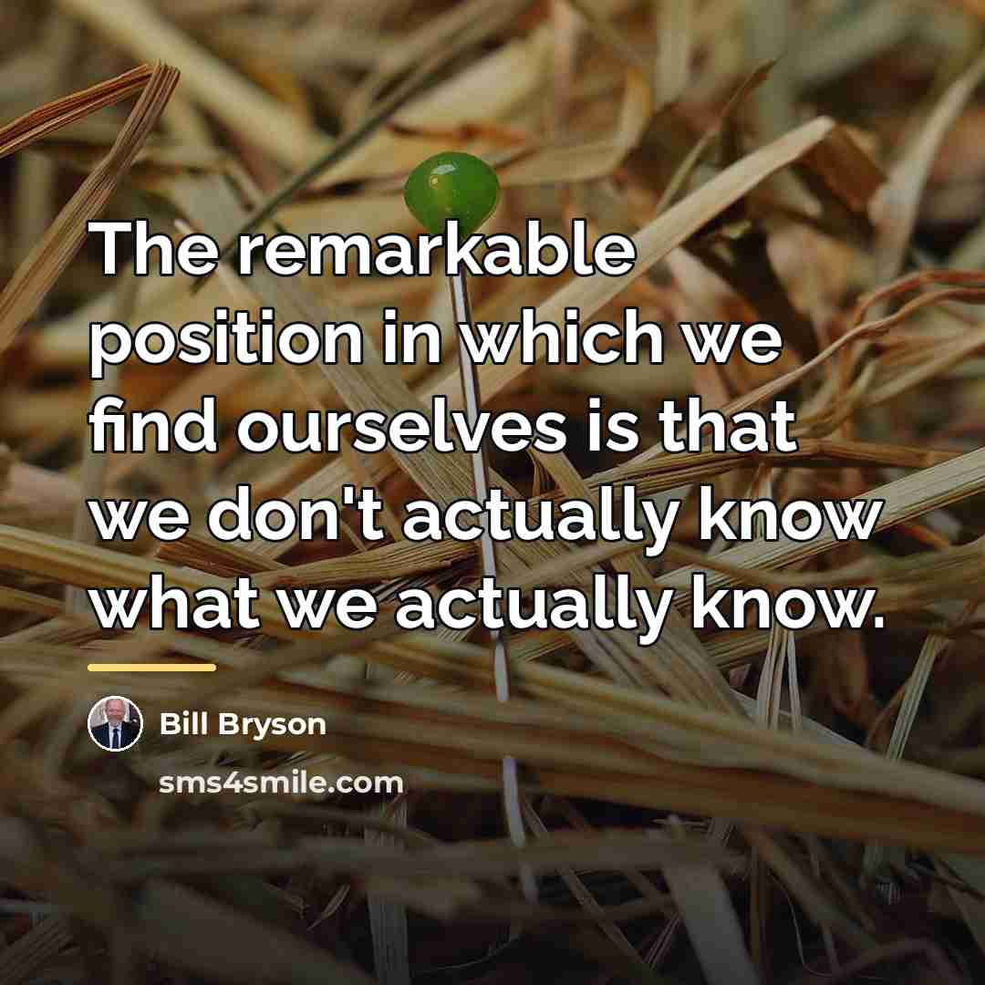 “The remarkable position in which we find ourselves is that…” quote by Bill Bryson