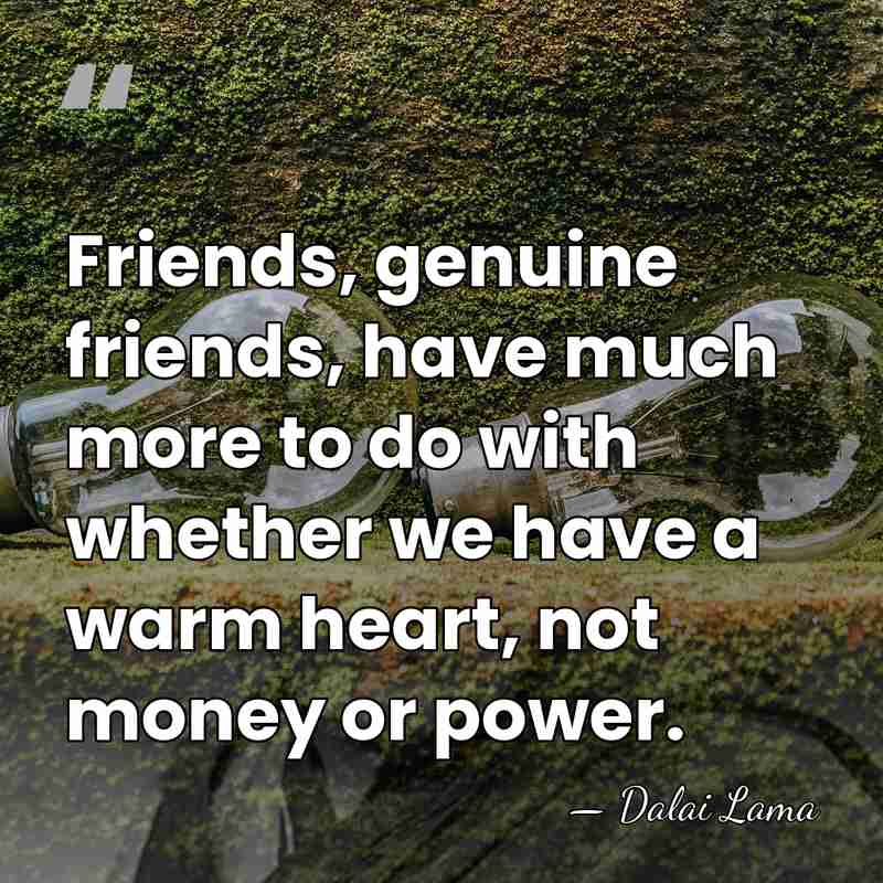 Friends, genuine friends, have much more to do with whether we have&hellip; - Dalai Lama