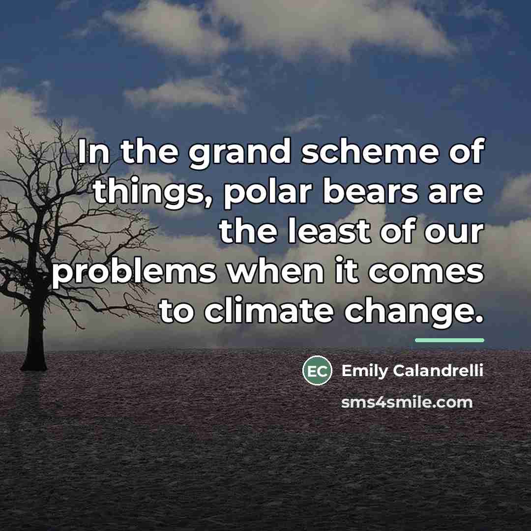“In the grand scheme of things, polar bears are the…” quote by Emily Calandrelli