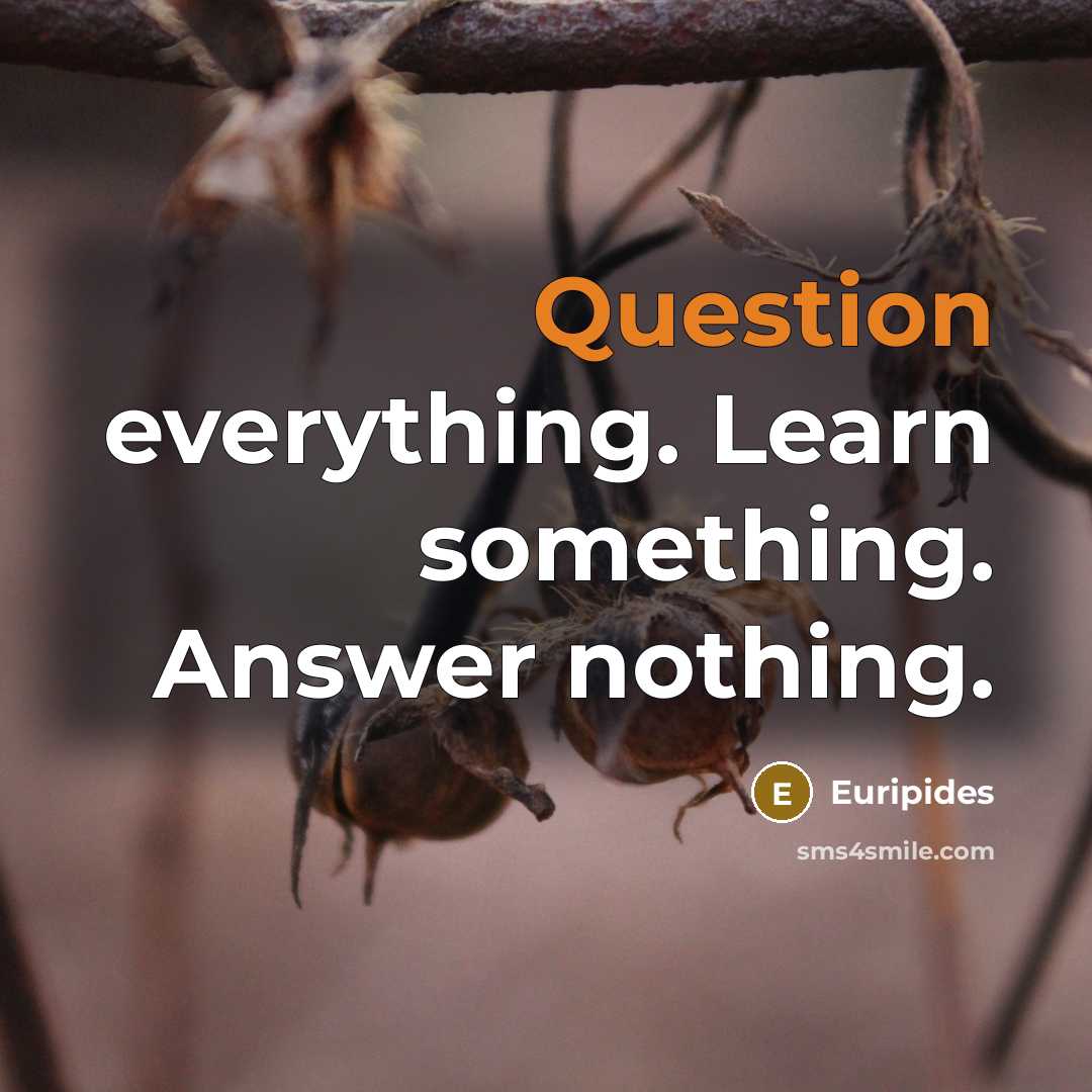 “Question everything. Learn something. Answer nothing.” quote by Euripides