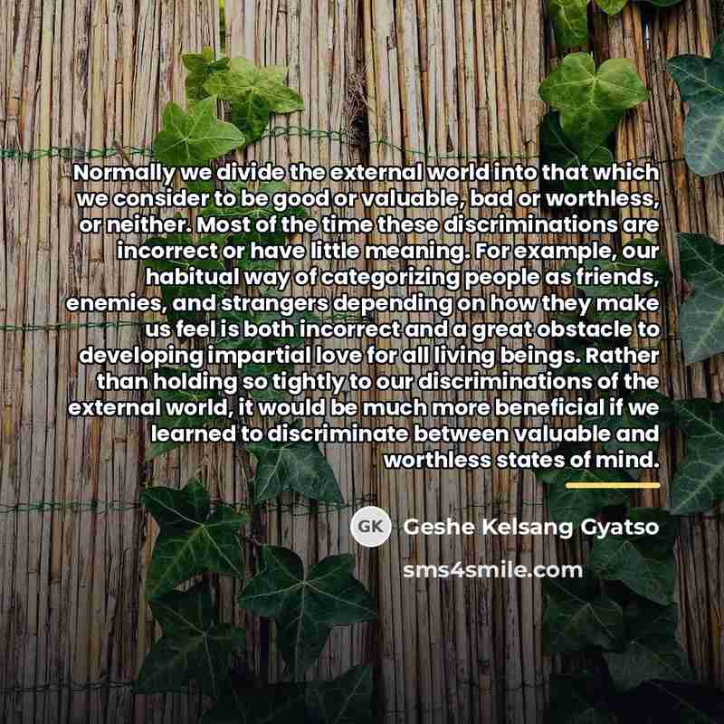 “Normally we divide the external world into that which we…” quote by Geshe Kelsang Gyatso