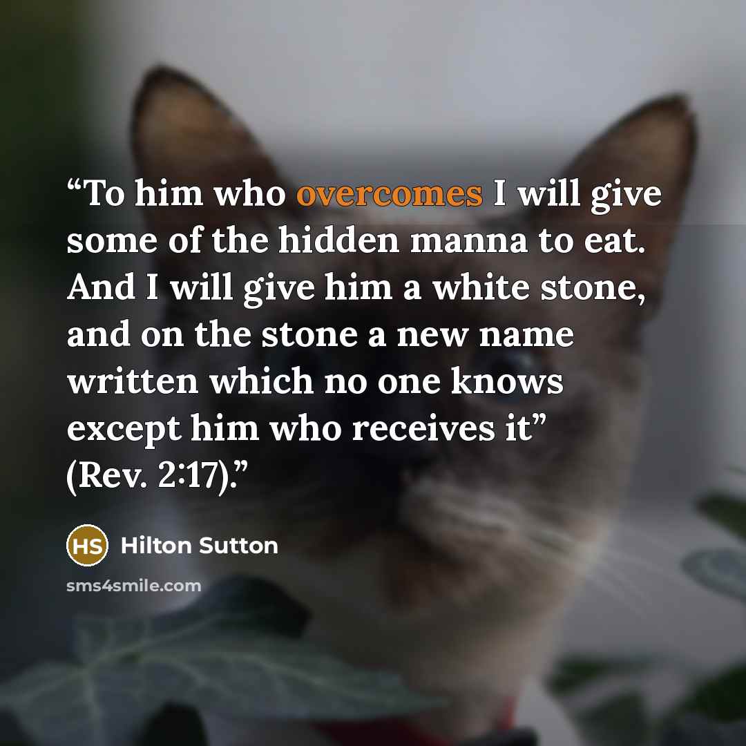 “To him who overcomes I will give some of the hidden manna to eat. And I will give him a white stone, and on the stone a new name written which no one knows except him who receives it” (Rev. 2:17).” quote by Hilton Sutton