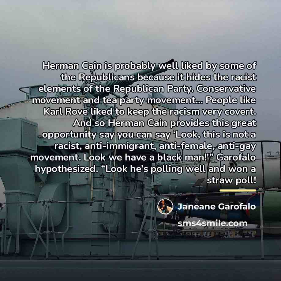 “Herman Cain is probably well liked by some of the…” quote by Janeane Garofalo