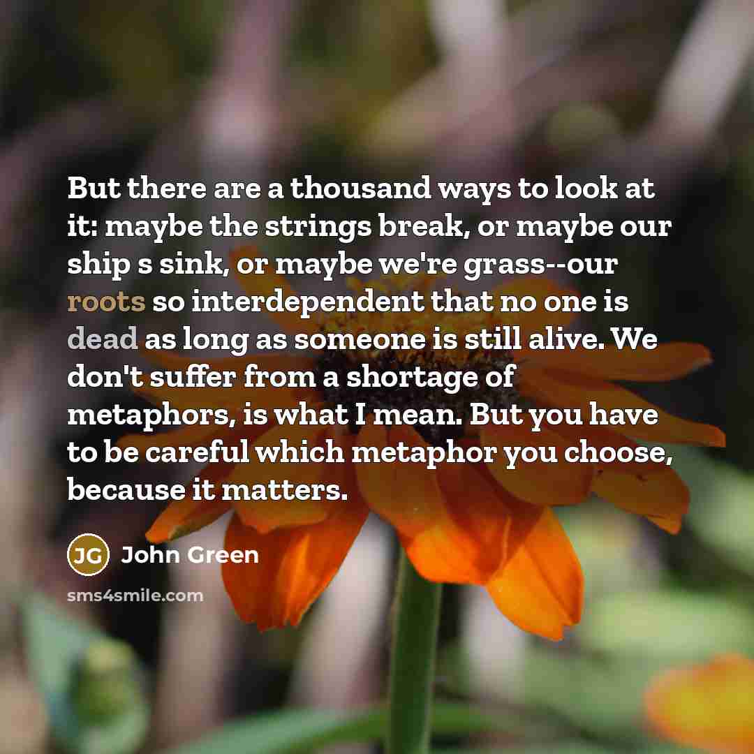 “But there are a thousand ways to look at it:…” quote by John Green