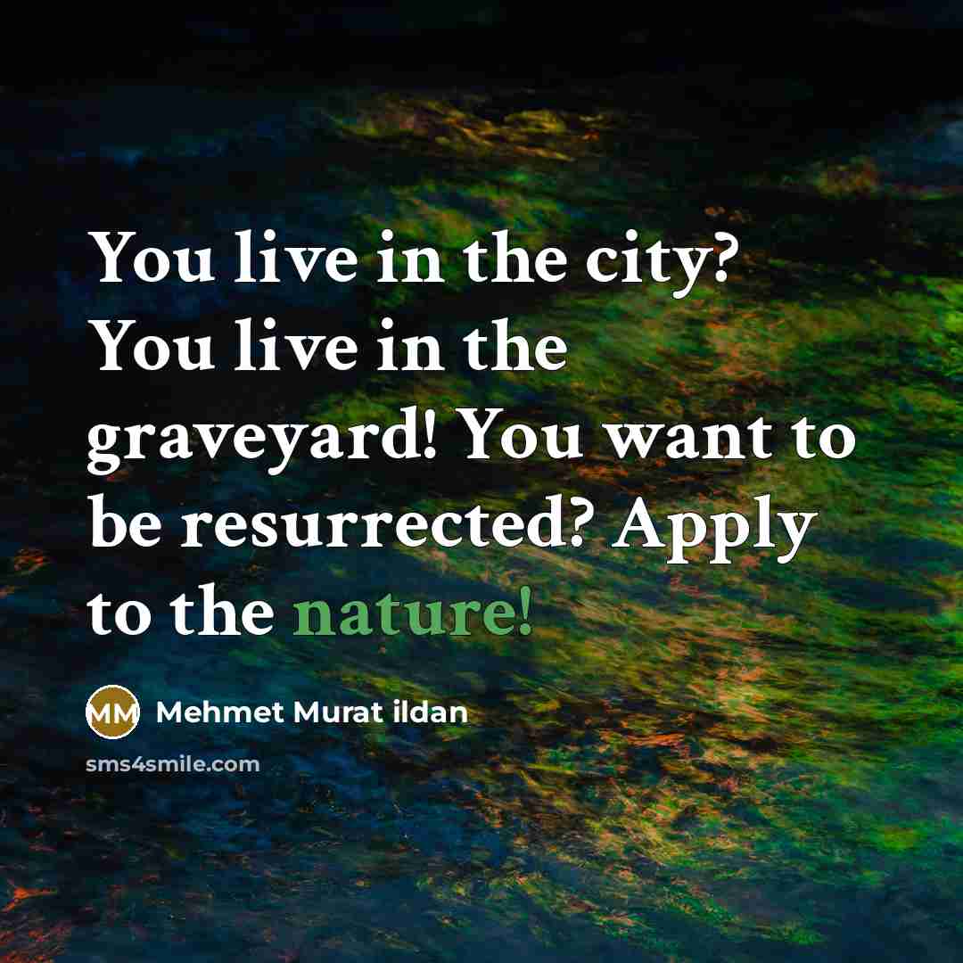 “You live in the city? You live in the graveyard!…” quote by Mehmet Murat Ildan