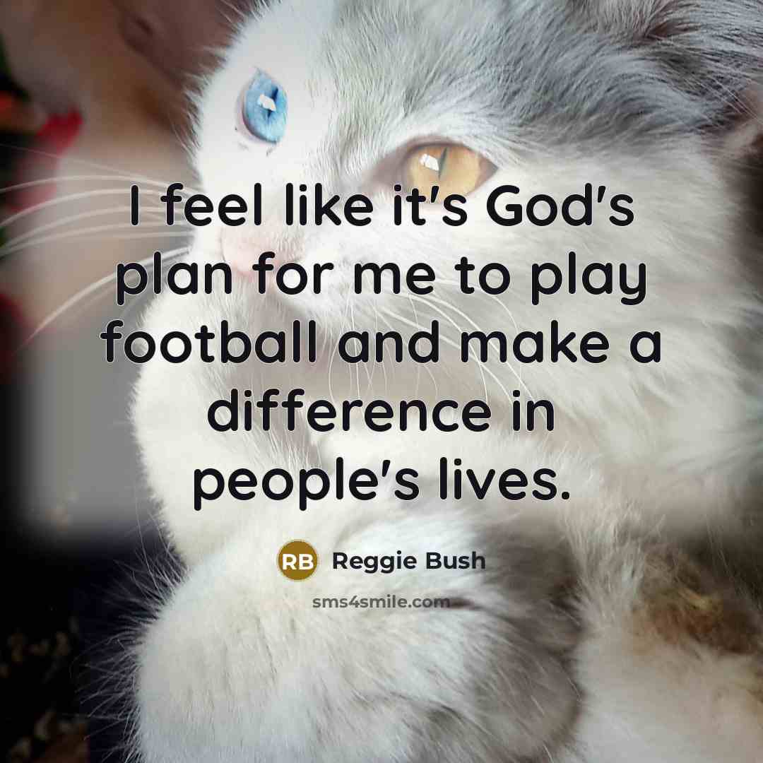 “I feel like it's God's plan for me to play…” quote by Reggie Bush